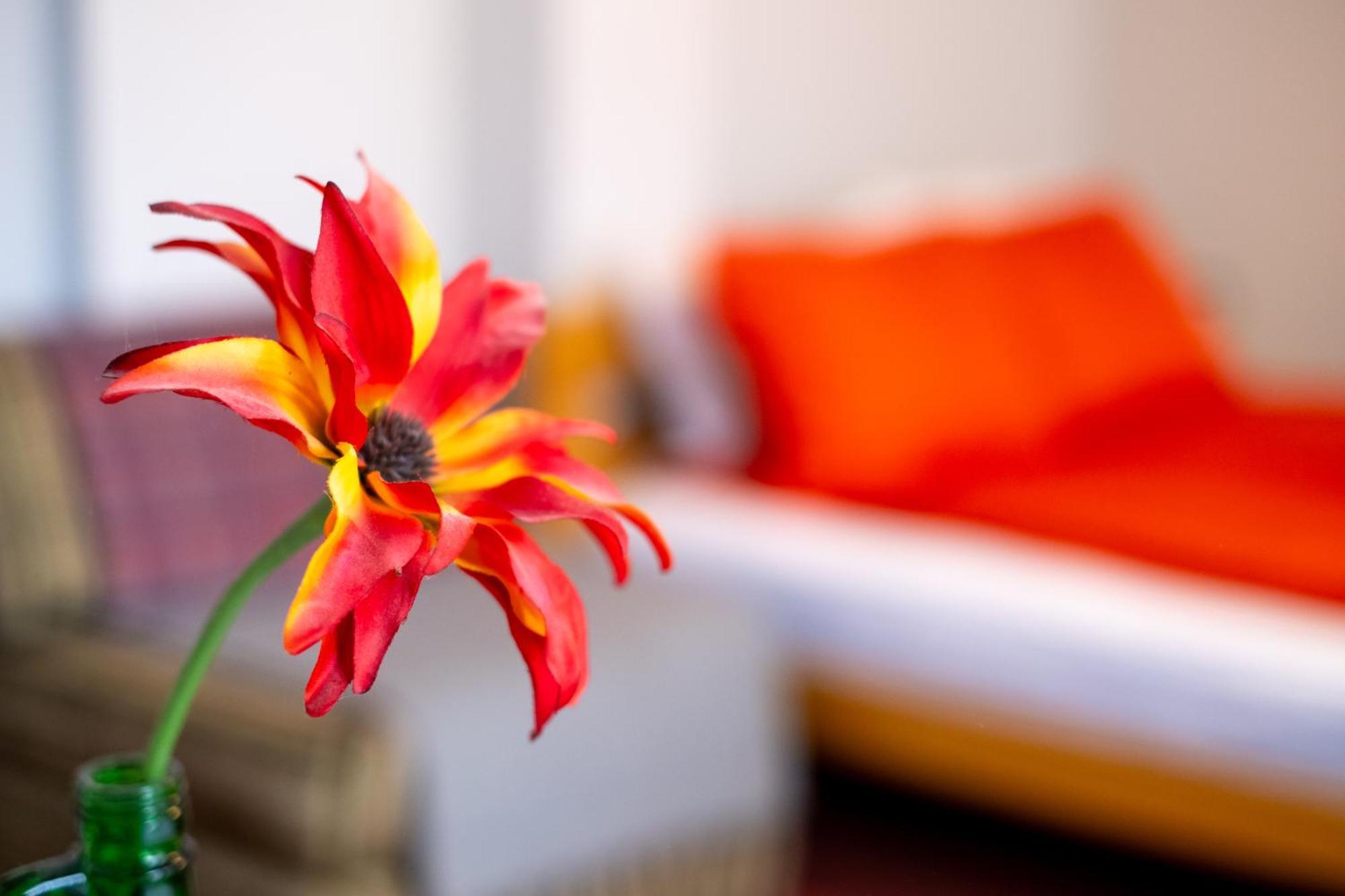 Guesthouse Rose ซาราเยโว ภายนอก รูปภาพ
