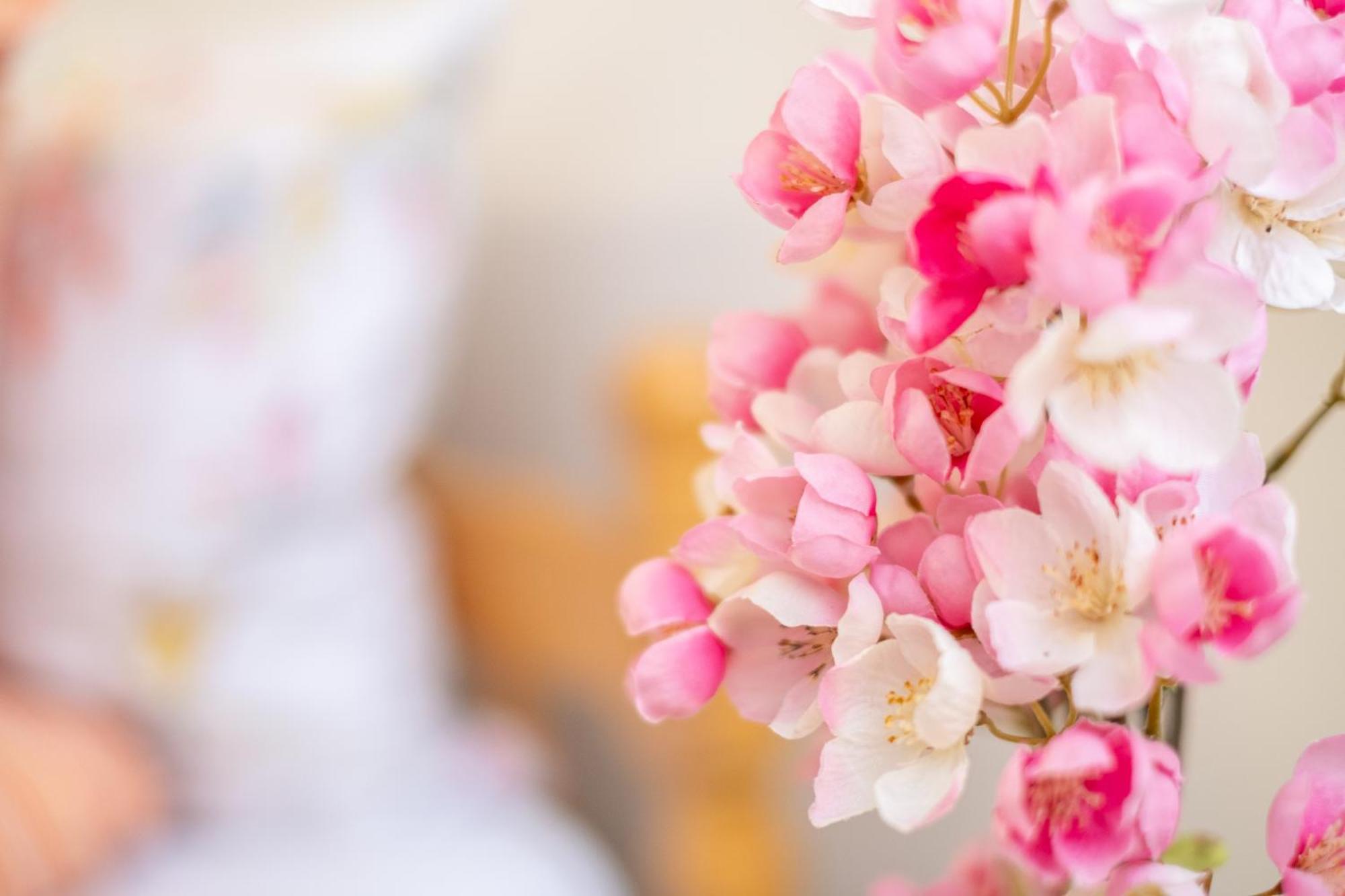 Guesthouse Rose ซาราเยโว ภายนอก รูปภาพ