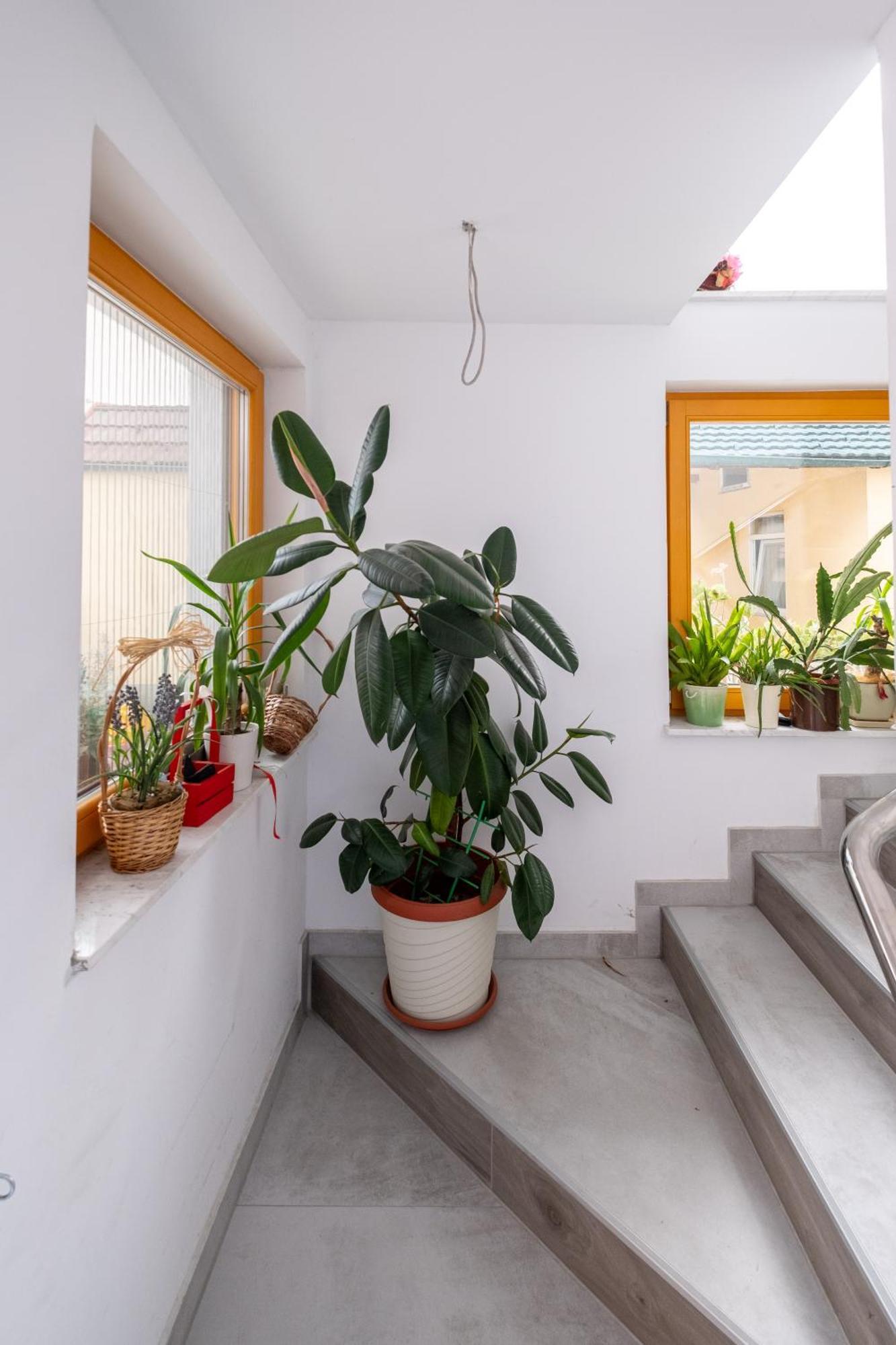 Guesthouse Rose ซาราเยโว ภายนอก รูปภาพ